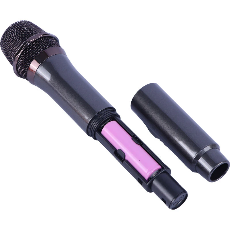اسپیکر چمدانی بلوتوثی برودو BTS-2291 + میکروفون و ریموت کنترل