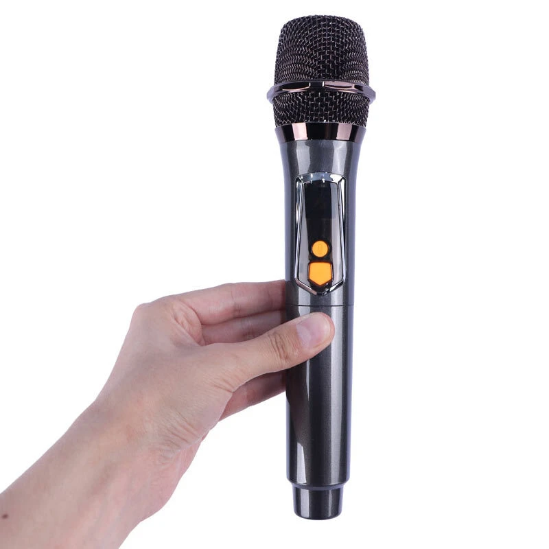 اسپیکر چمدانی بلوتوثی برودو BTS-2291 + میکروفون و ریموت کنترل