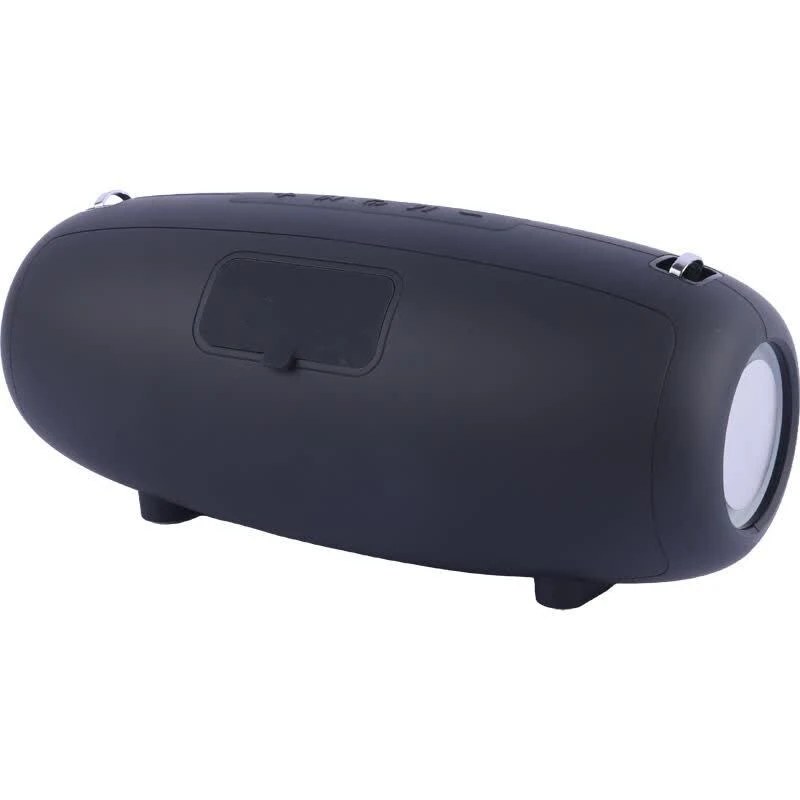 اسپیکر بلوتوثی نیو ریکسینگ NR-6018M + میکروفون