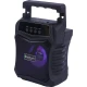 اسپیکر بلوتوثی نیو ریکسینگ NRG-301A
