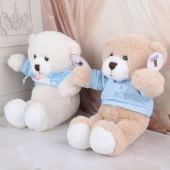 عروسک پولیشی خرس سویشرتی کد 2345-33