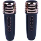 اسپیکر بلوتوثی Booms Bass M4101 Plus + میکروفون