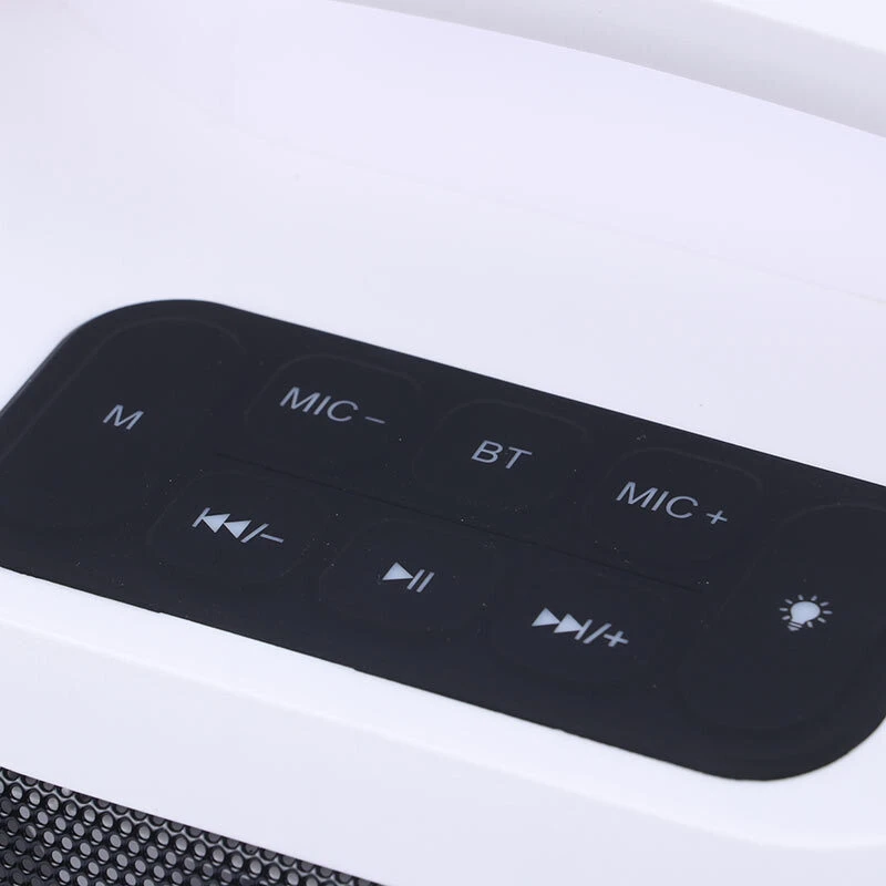 اسپیکر بلوتوثی برودو BTS-2313 + میکروفون