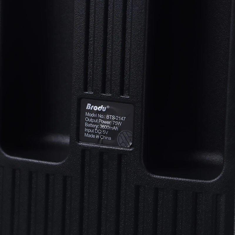 اسپیکر چمدانی بلوتوثی برودو BTS-2147 + میکروفون