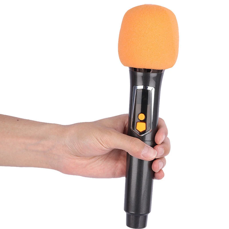 اسپیکر چمدانی بلوتوثی برودو BTS-2463 + میکروفون