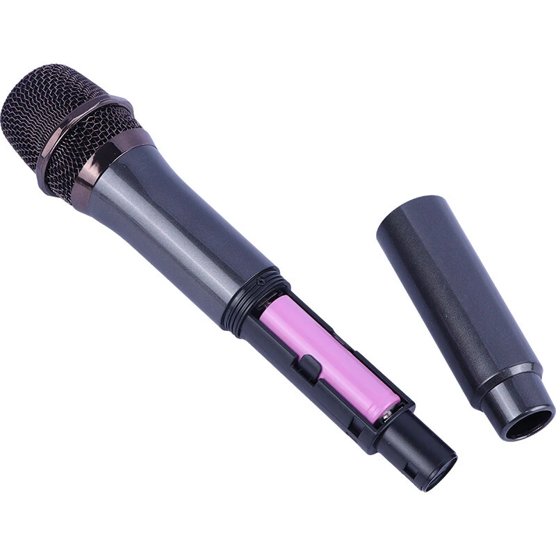 اسپیکر چمدانی بلوتوثی برودو BTS-2463 + میکروفون