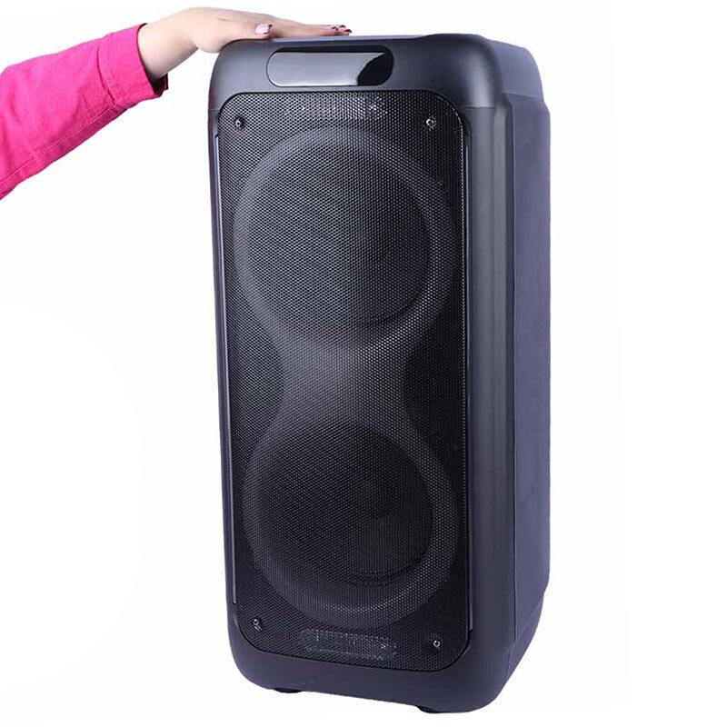 اسپیکر چمدانی بلوتوثی برودو BTS-2463 + میکروفون