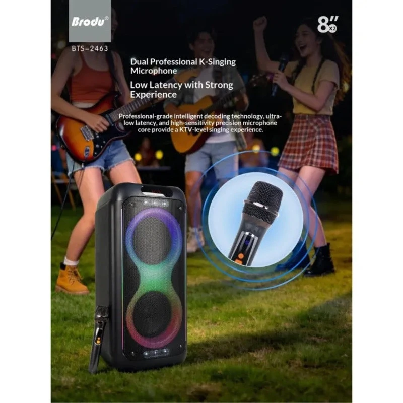 اسپیکر چمدانی بلوتوثی برودو BTS-2463 + میکروفون