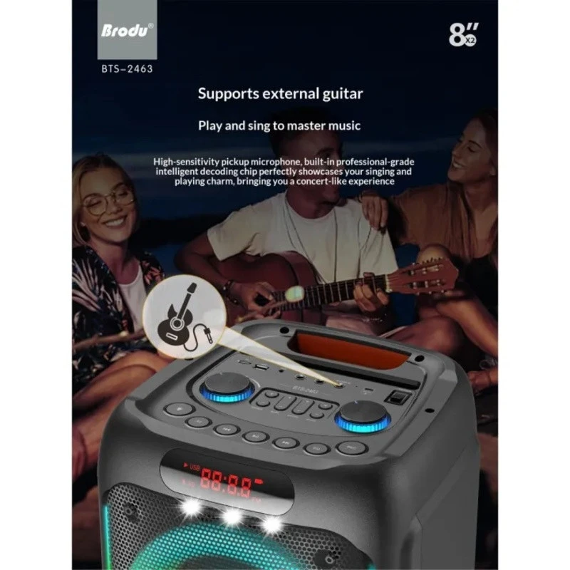 اسپیکر چمدانی بلوتوثی برودو BTS-2463 + میکروفون