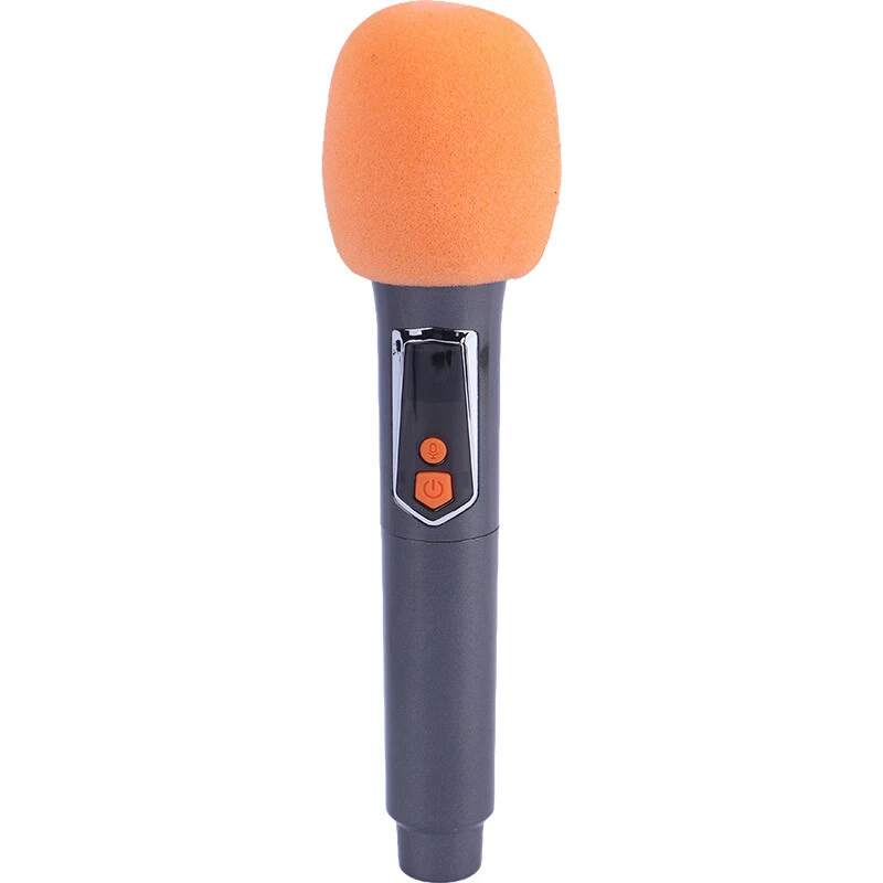 اسپیکر بلوتوثی برودو BTS-2257 + میکروفون