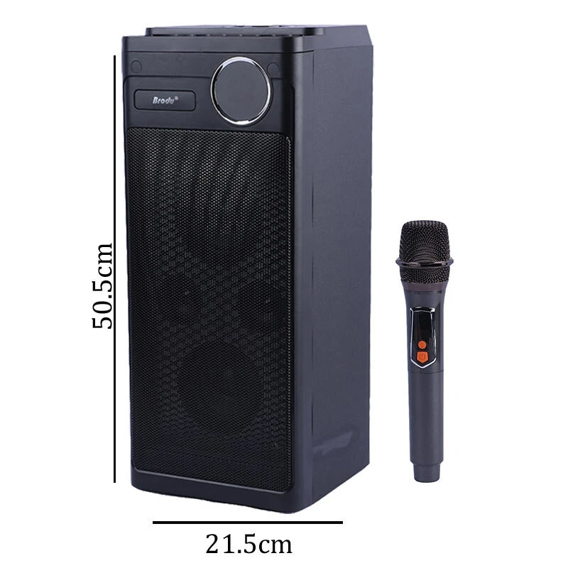 اسپیکر بلوتوثی برودو BTS-2243 + میکروفون