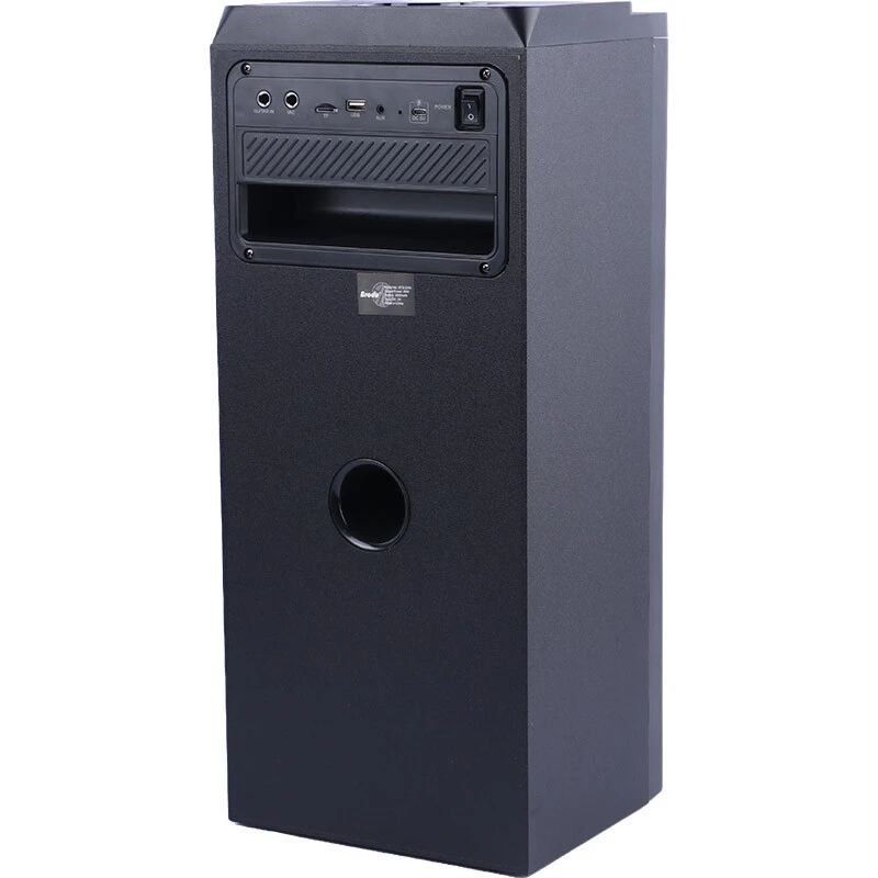 اسپیکر بلوتوثی برودو BTS-2243 + میکروفون