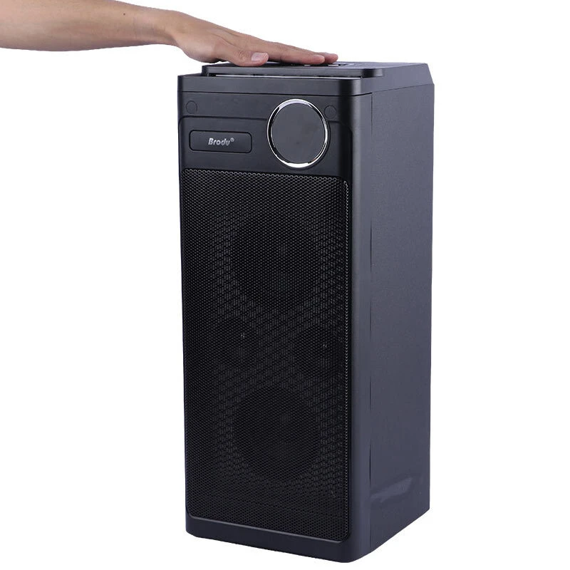 اسپیکر بلوتوثی برودو BTS-2243 + میکروفون