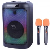 اسپیکر بلوتوثی برودو BTS-2102 + میکروفون