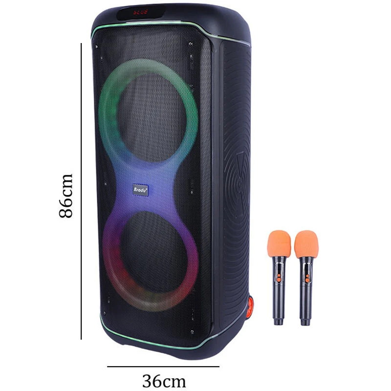 اسپیکر چمدانی بلوتوثی برودو BTS-2496 + میکروفون