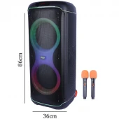 اسپیکر چمدانی بلوتوثی برودو BTS-2496 + میکروفون