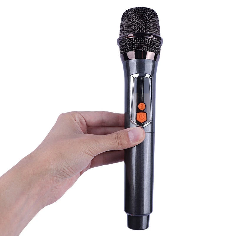 اسپیکر چمدانی بلوتوثی برودو BTS-2496 + میکروفون