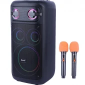 اسپیکر بلوتوثی برودو BTS-2509 + میکروفون