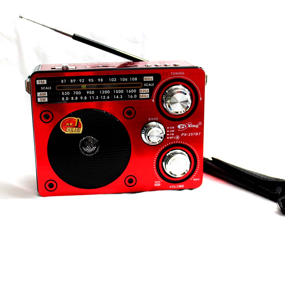 رادیو اسپیکر رم و فلش خور Pu Xing PX-248|257
