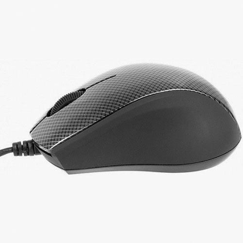 موس A4TECH N-100