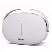 اسپیکر بلوتوثی فلش خور W-KING T8
