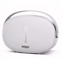 اسپیکر بلوتوثی فلش خور W-KING T8