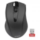 موس بی سیم ایفورتک A4TECH G9-500F