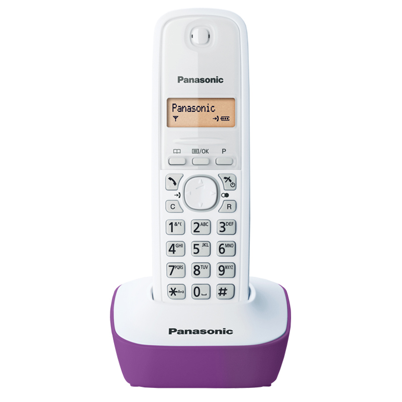 تلفن بی سیم Panasonic KX-TG1611 + گارانتی