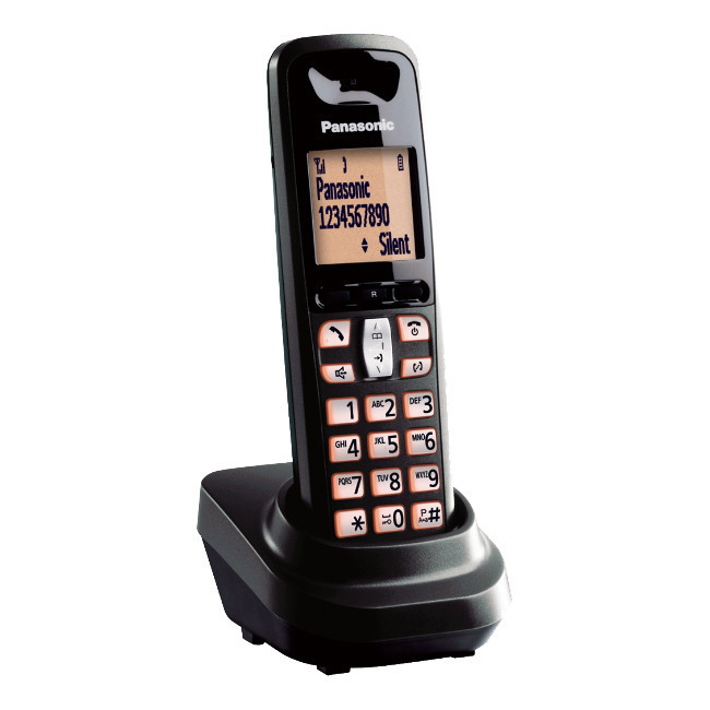 تلفن Panasonic KX-TGF110 + گوشی بیسیم + گارانتی