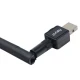 کارت شبکه بی سیم آنتن دار Royal RW-133 150Mbps