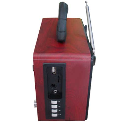 رادیو اسپیکر بلوتوثی رم و فلش خور NNS NS-1386BT