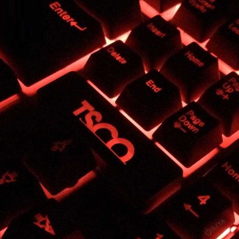 کیبورد بک لایت TSCO TK-8029