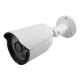 دوربین مداربسته سی پلاس CPLUS PL-550 2235 2MP
