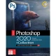 Adobe Photoshop CC Collection 2020 1DVD9 گردو