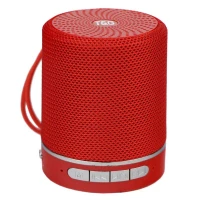 اسپیکر بلوتوثی رم و فلش خور T&G TG511