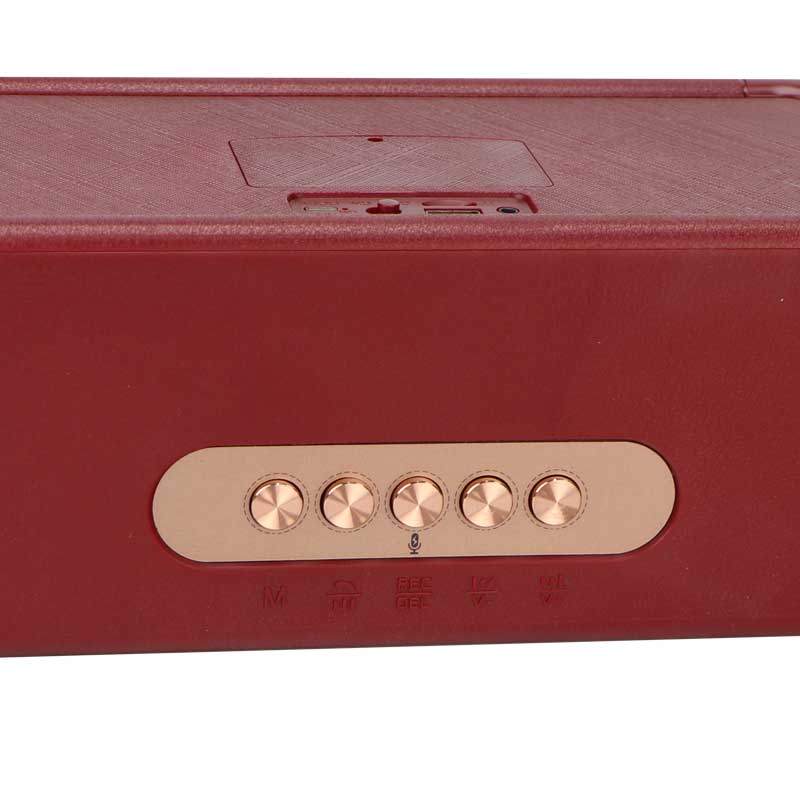 اسپیکر بلوتوثی رم و فلش خور WSTER WS-1668