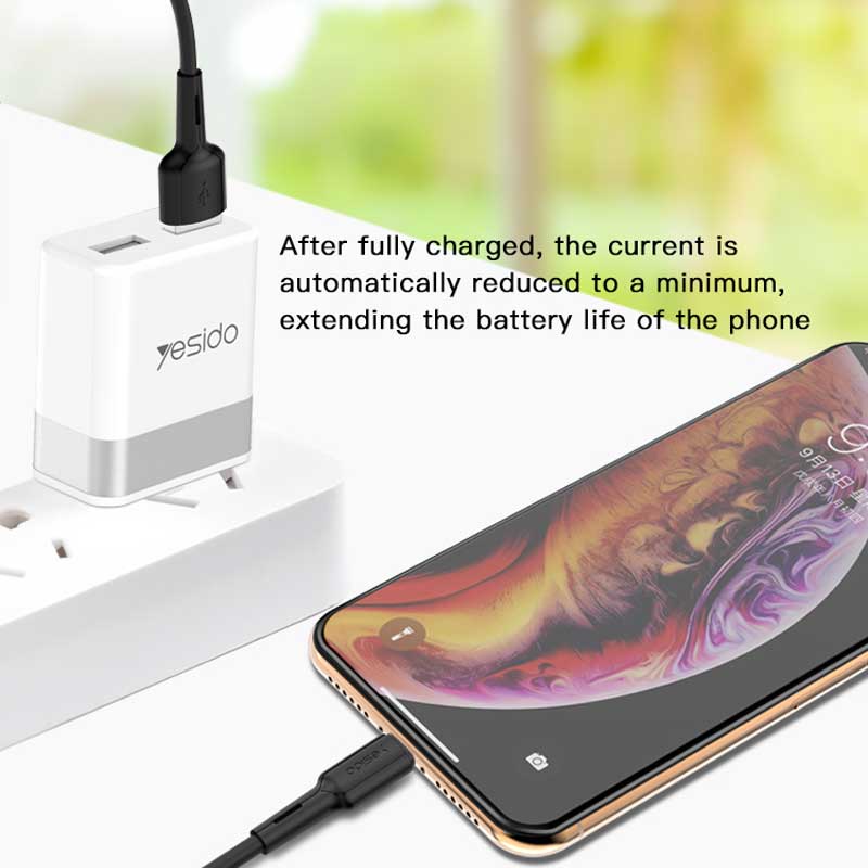 کابل Yesido CA42 Type-C 1m