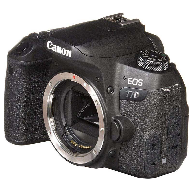 دوربین دیجیتال بدون لنز Canon EOS 77D