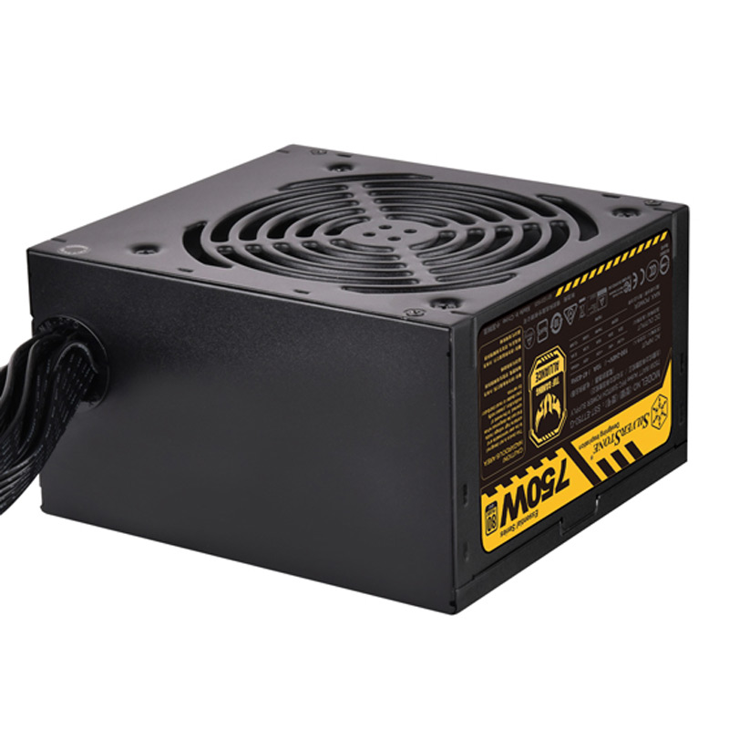 پاور 750 وات سیلوراستون SilverStone Essential SST-ET750-G Gold