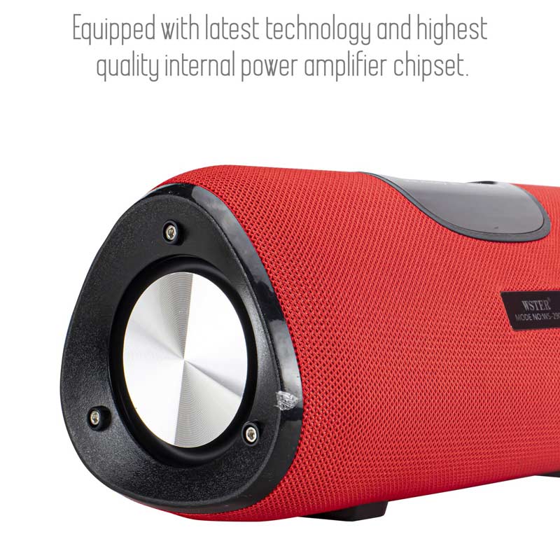 اسپیکر بلوتوثی رم و فلش خور WSTER WS-2909