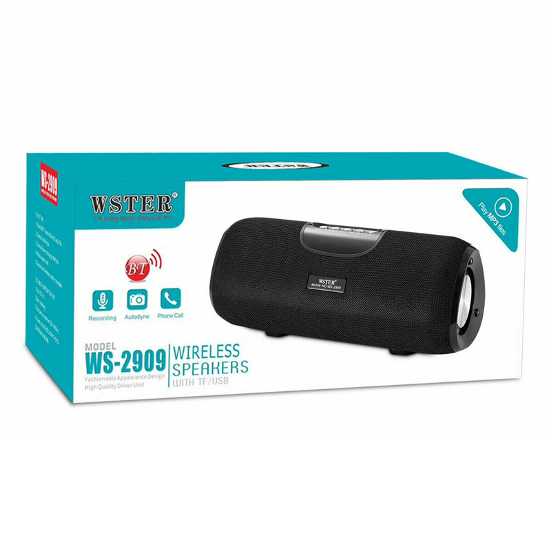 اسپیکر بلوتوثی رم و فلش خور WSTER WS-2909