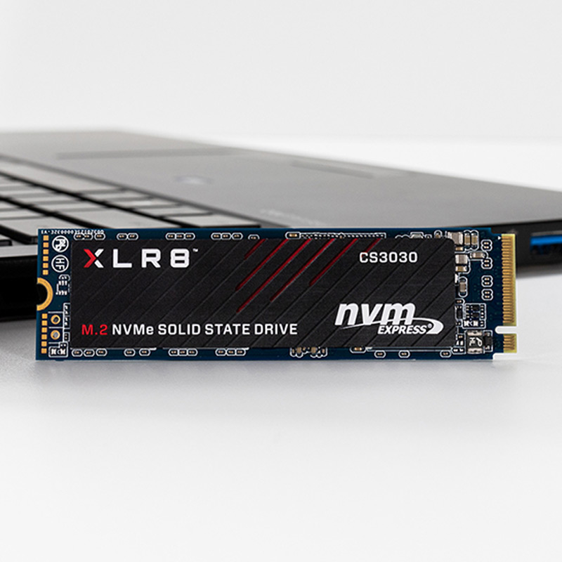 حافظه SSD پی ان وای PNY CS3030 250GB M.2