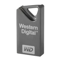 فلش 32 گیگ وسترن دیجیتال Western Digital My Stylish
