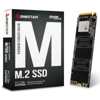 حافظه SSD بایوستار Biostar M700 128GB M.2