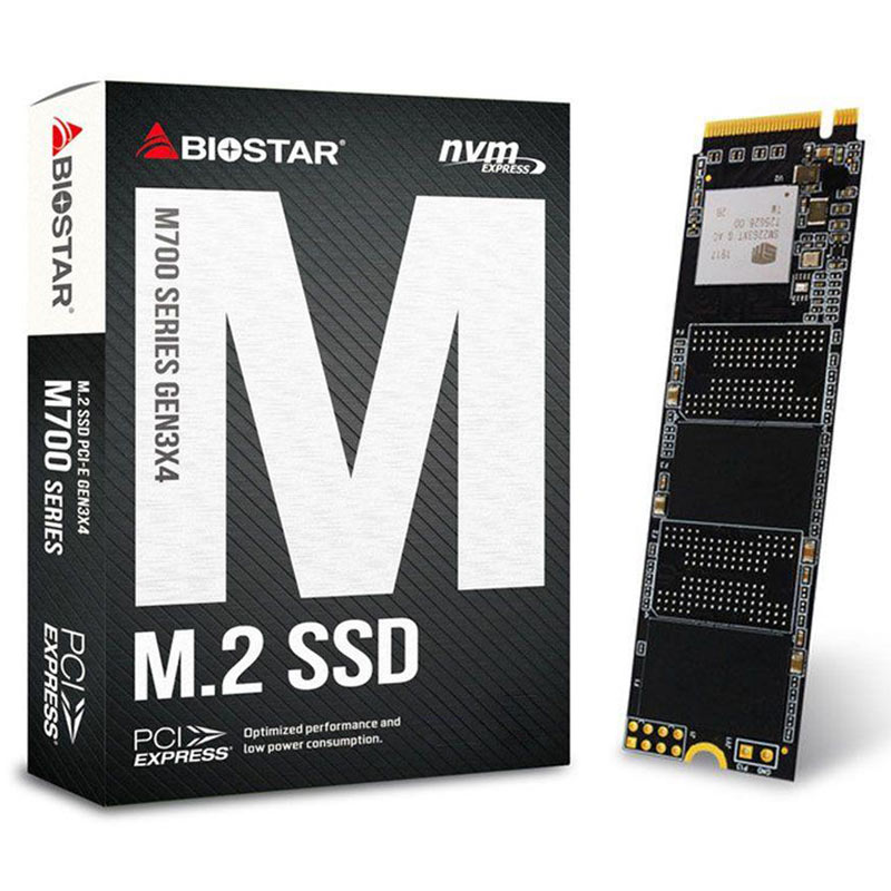 حافظه SSD بایوستار Biostar M700 128GB M.2