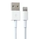 شارژر دیواری iPhone CH826 5W + کابل آیفونی