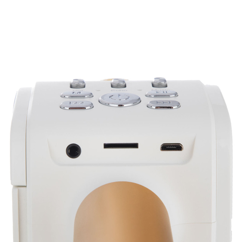 میکروفون بی سیم و اسپیکر هولدر دار Joyroom JR-MC3