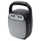 اسپیکر بلوتوثی رم فلش خور MS-1609BT