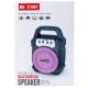 اسپیکر بلوتوثی رم و فلش خور MS-1711BT