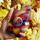 قاب رنگین کمانی پاپ سوکت دار خرچنگی کد8 آیفون iPhone 11 Pro Max